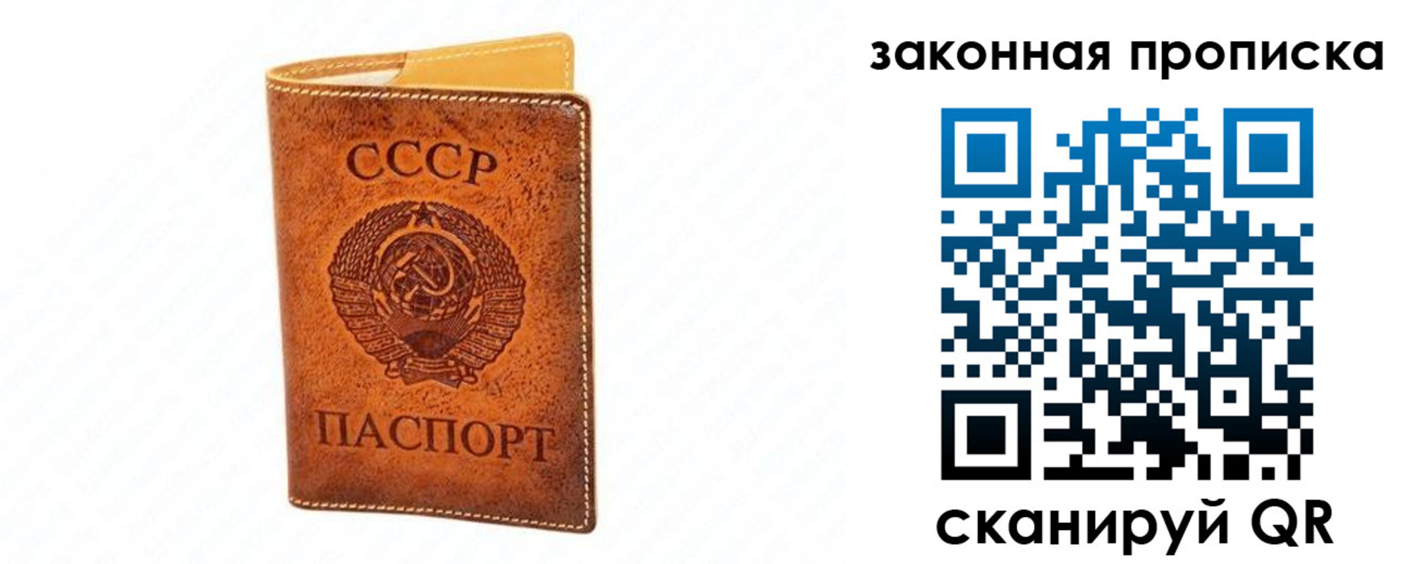 прописка в Домодедово